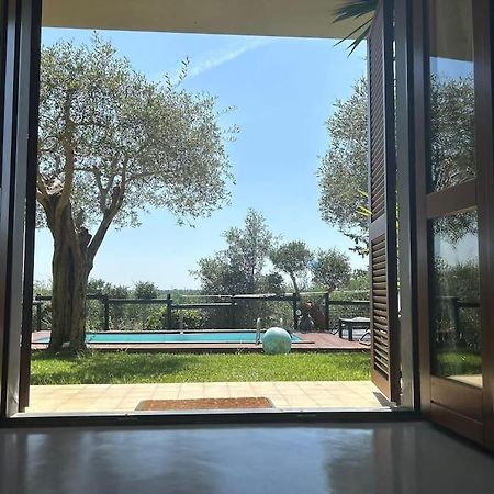 Villa Villacolle Massarosa Εξωτερικό φωτογραφία